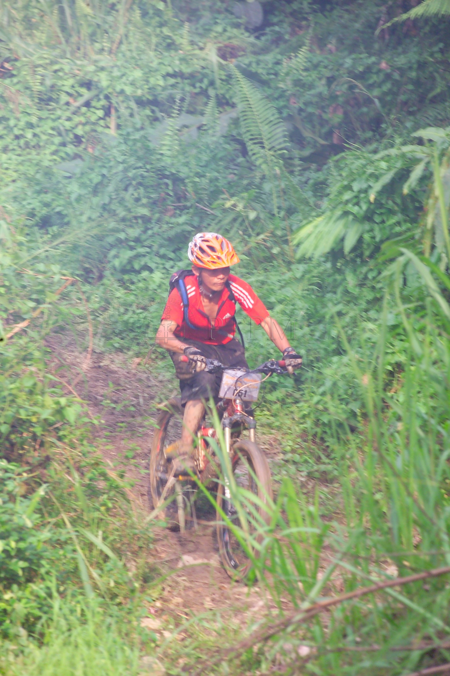 PTPM 06 31 kilau D9X44240